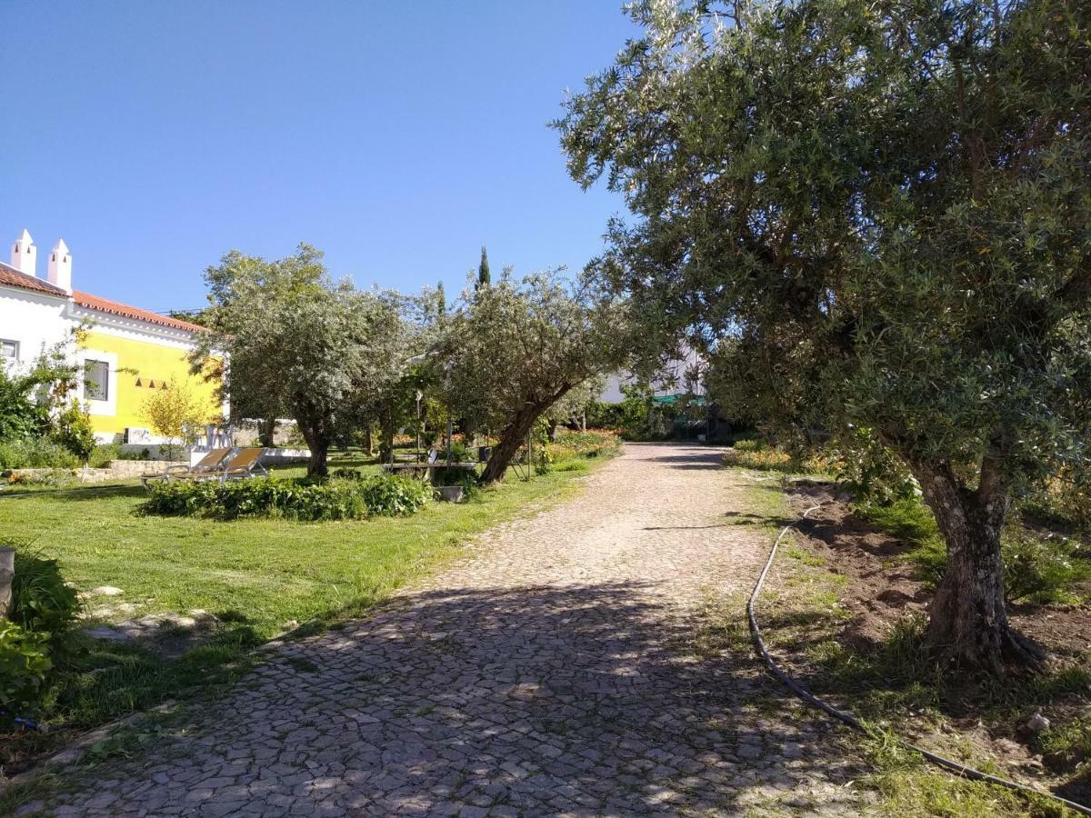 维迪堡 Casa Da Paleta旅馆 外观 照片