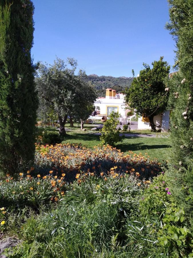 维迪堡 Casa Da Paleta旅馆 外观 照片