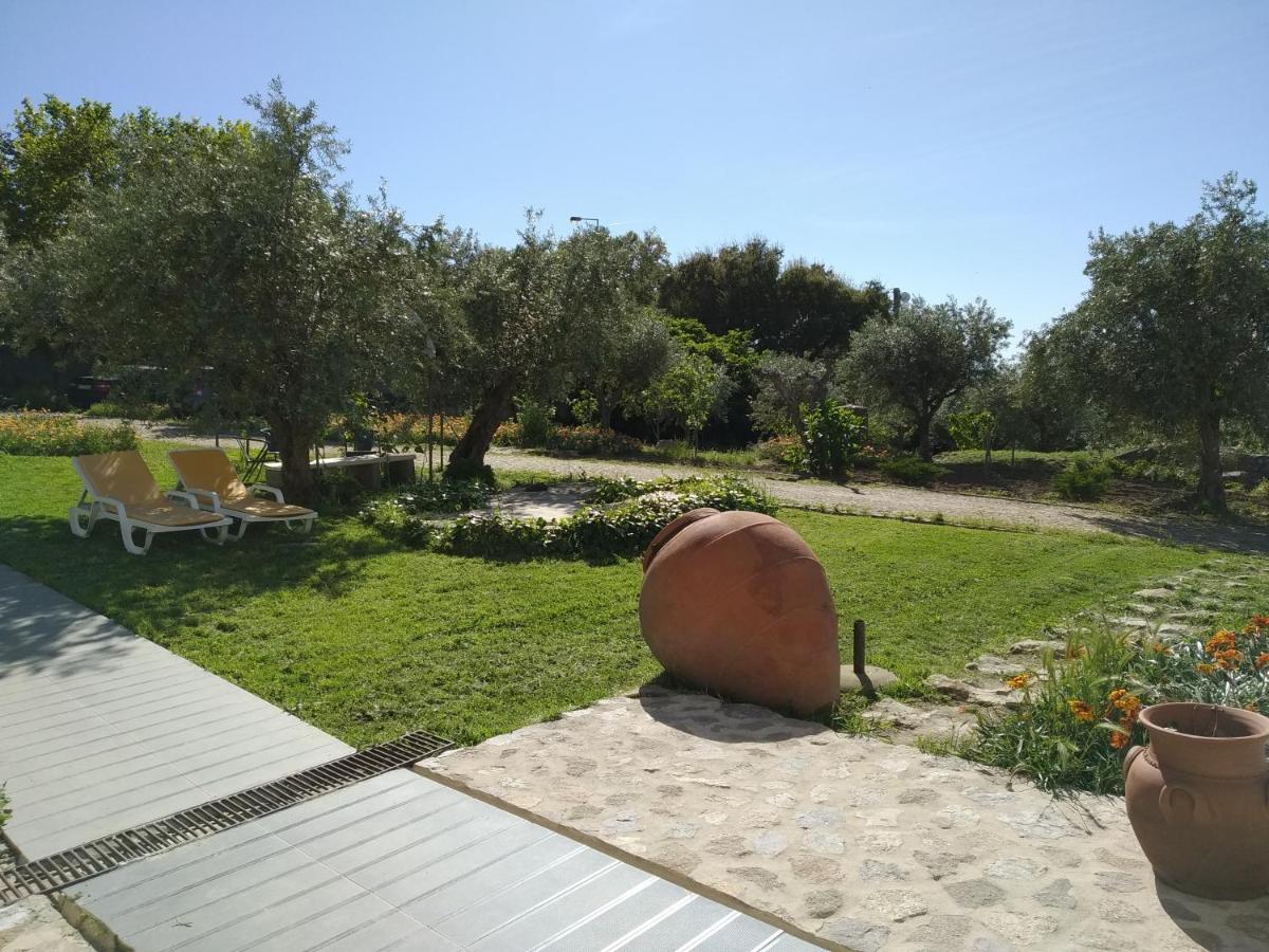 维迪堡 Casa Da Paleta旅馆 外观 照片