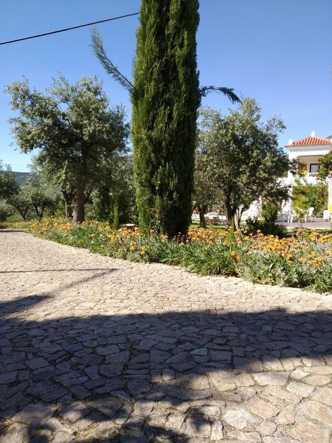 维迪堡 Casa Da Paleta旅馆 外观 照片