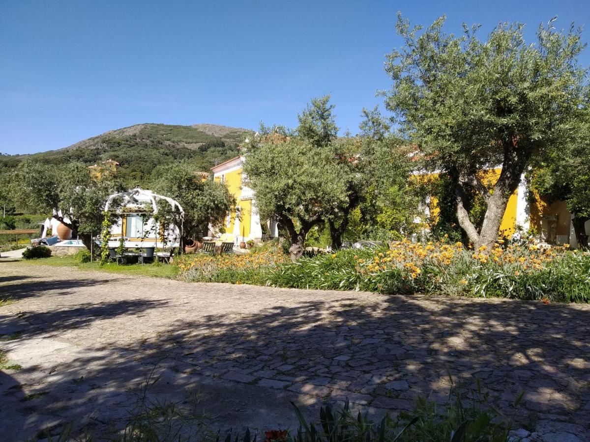 维迪堡 Casa Da Paleta旅馆 外观 照片
