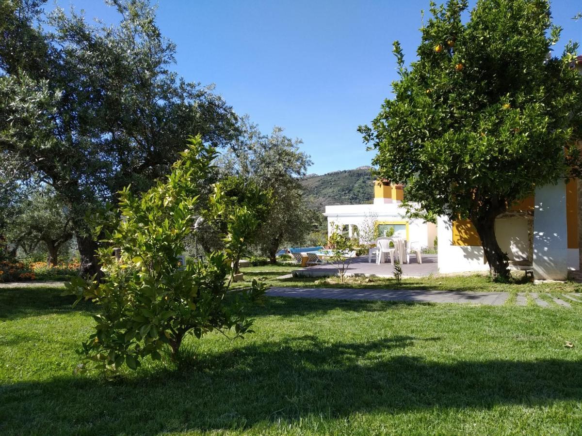 维迪堡 Casa Da Paleta旅馆 外观 照片